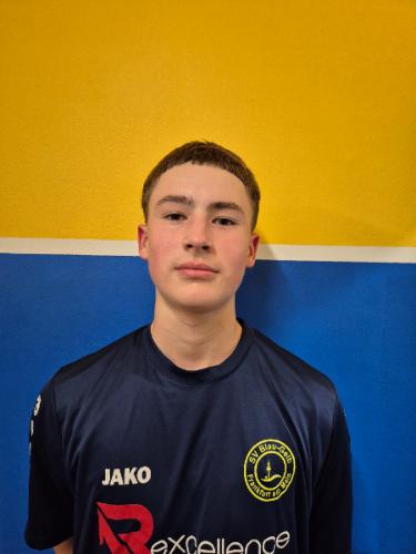 Arthur Wilhelm Niemann