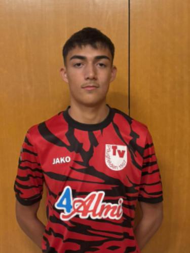 Fabian Lutz