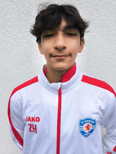 Ziad Hamo