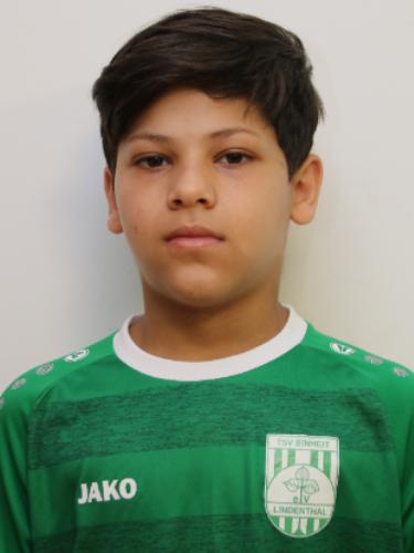 Motaz Aldalhoth