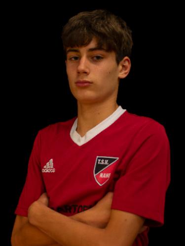 Gianluca Michele Lombardino