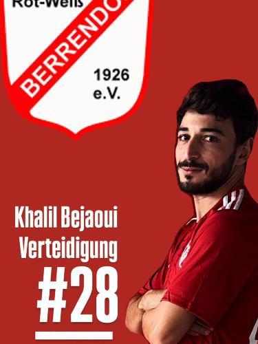 Khalil Bejaoui