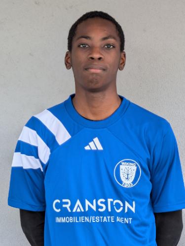 Goodluck Chiemena Duru