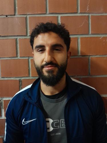 Schervin Mardani