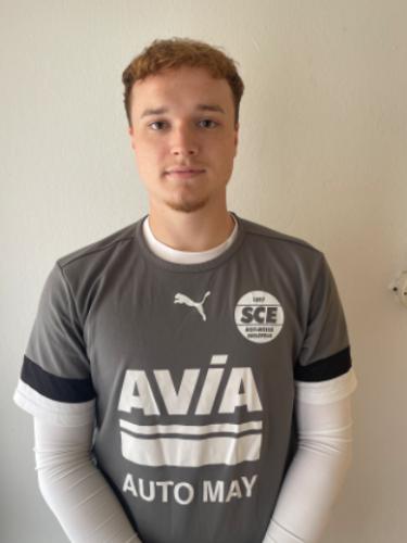 Tim-Henrik Wedel