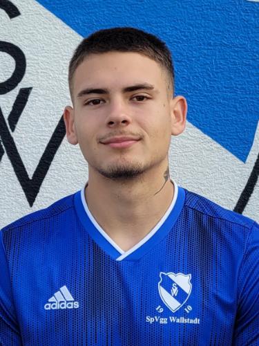 David Stamenkovic