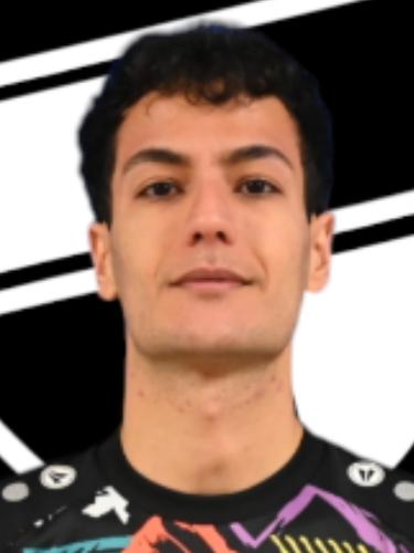 Mohamad Soleymani Far