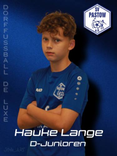 Hauke Lange