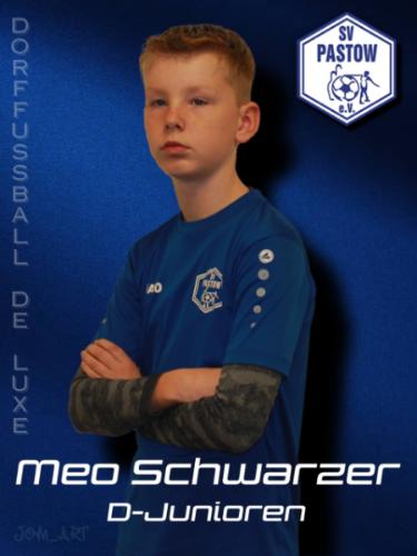 Meo Schwarzer