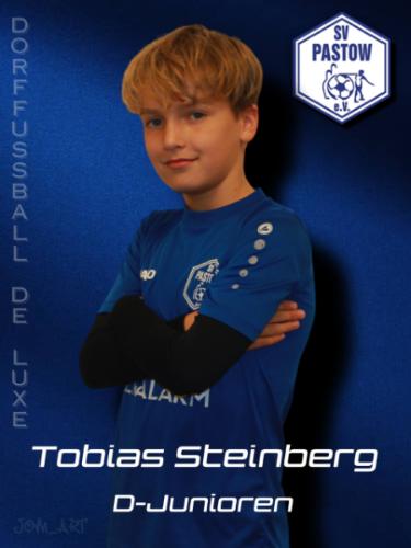 Tobias Steinberg