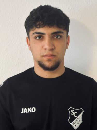 Seven Veysel