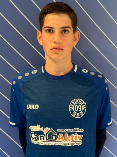 Vicco Clemens Thiebus