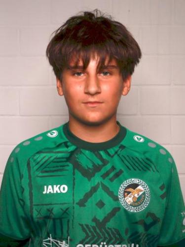 Zanfir Dragos Andrei