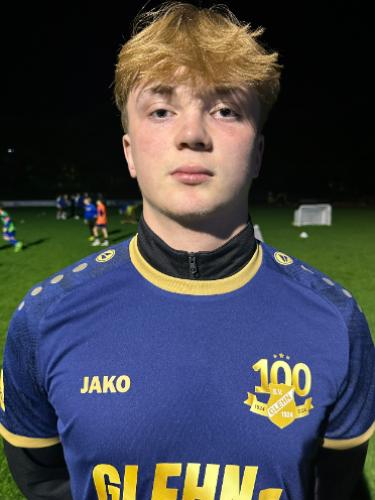 Theo Karl Fritz Weeres