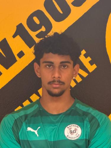 Amirmohammad Azadian Delasm