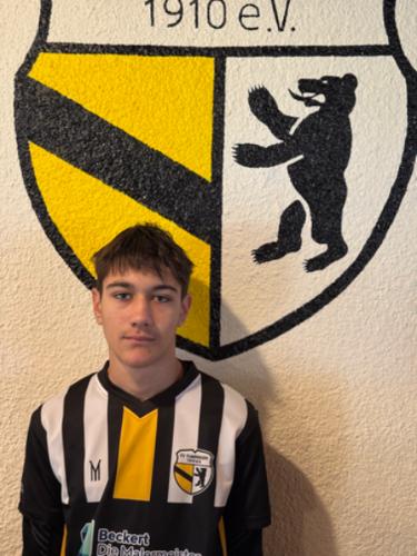 Damjan Radosavljevic