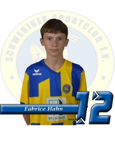 Fabrice-Marques Hahn