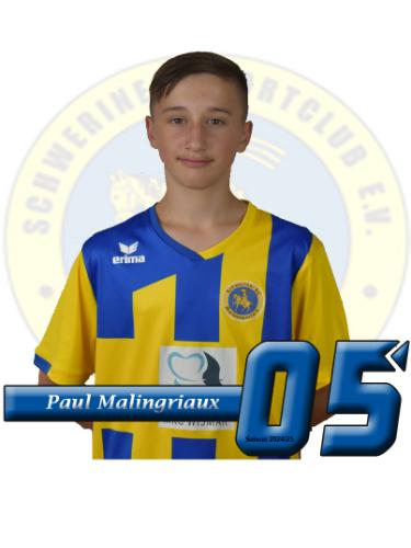 Paul Malingriaux