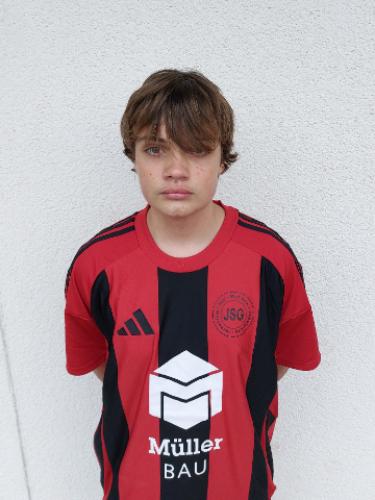 Henry Leonard Schulz