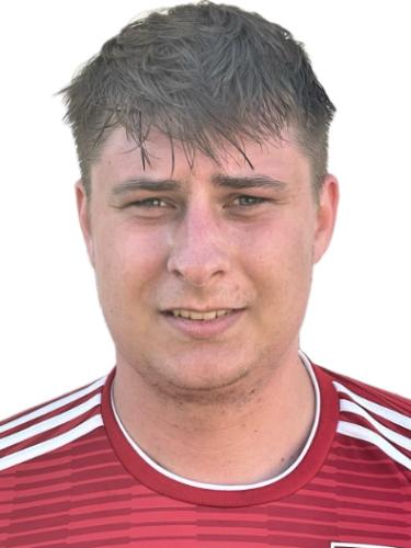 Niklas Toporysek