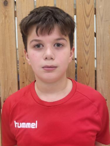 Amar Visoka