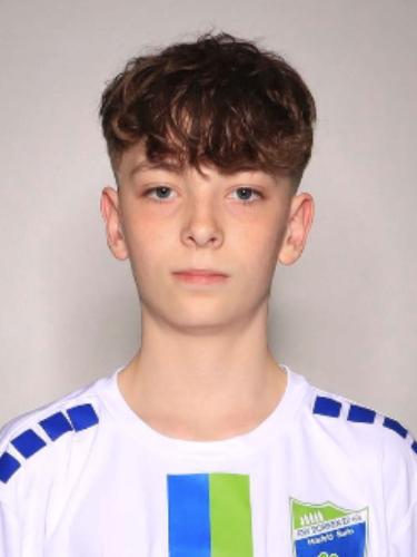 Johann Michel Scholtholt