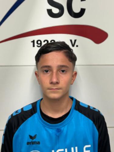 Aldin Emro