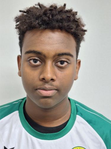 Nathnael Tesefay Berha