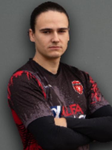 Niklas Gottwald