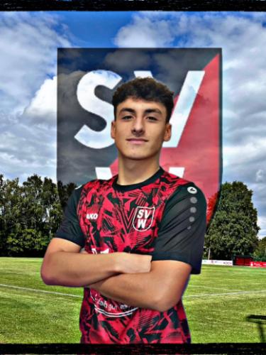 Hugo Henrique Araujo Brito