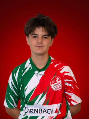 Nico Petros Babajanian