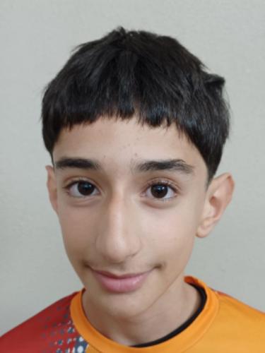 Enes Ceviz