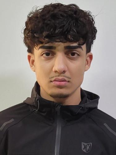 Ahmad Tamim Alizai