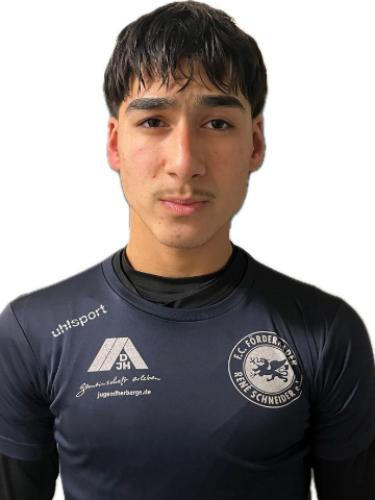 Amir Mohammad Haydari