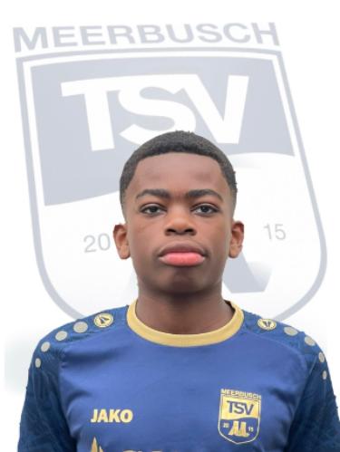 Brel Harry Kameni