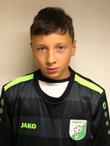 Niklas Domin