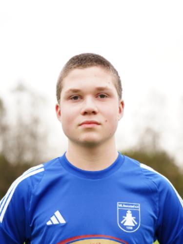 Theo Anton Höbing