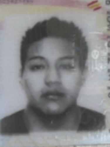 Danny Alexander Quinaucho Saltos
