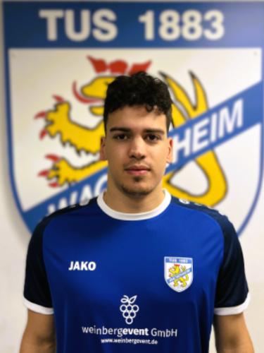 Leon Alexander Paton Doig