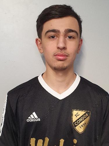 Ramin Hashimi-Safi