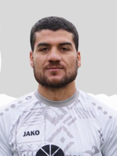 M. khir Alnabhanhussenjoumaa