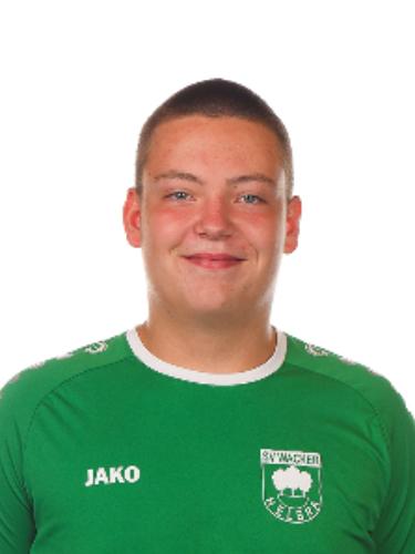 Julien Taylor Eberwein