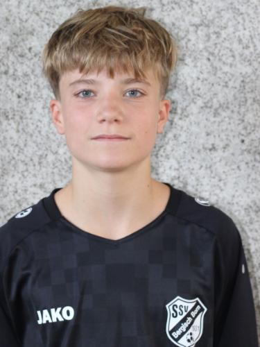 Dominik Alek Mantlik