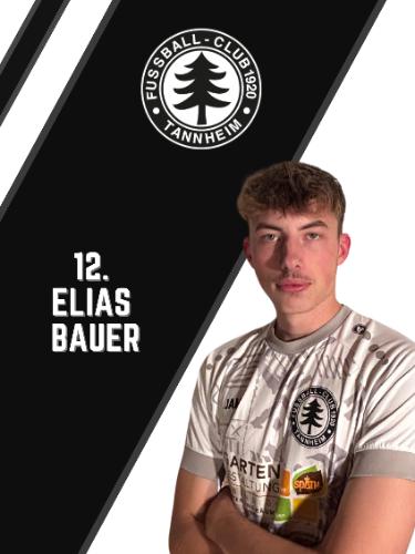 Elias Bauer