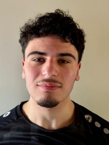 Ali Ergül