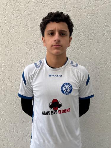 Ilia Nafisi Pour