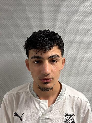 Raid Ali Elias Alomari