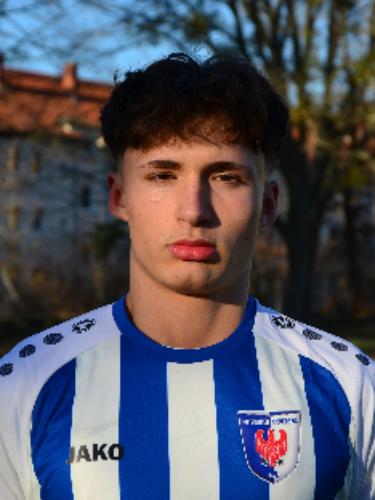 Daniel Fernando Dustmann