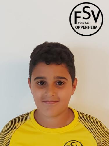 Qasim Hayder Hamid Al-Thayab