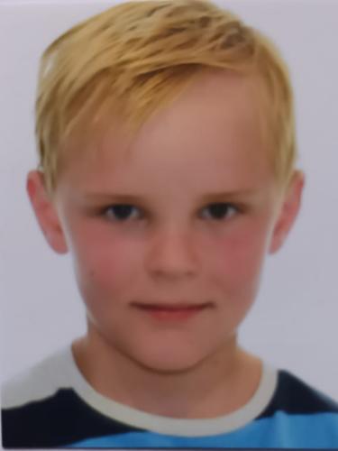 Levi Hronik